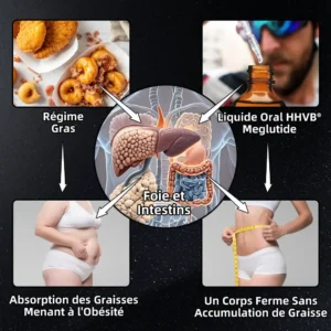 HHVB® GLP-1 Moringa Minceur & Gouttes de Boost de Santé