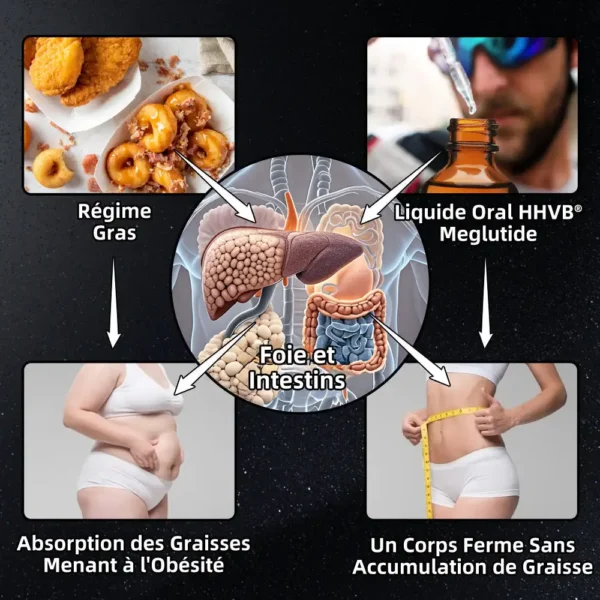 HHVB® GLP-1 Moringa Minceur & Gouttes de Boost de Santé